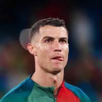 PDF) The Law of Gibrat Applied in the Manufacturing SMEs of Ecuador