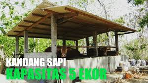 We did not find results for: Kandang Modern Sekala Kecil Buat Para Pemula Eps26 Youtube