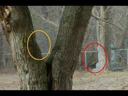 Those are five photos that i think are some of the scariest in the world. Top 5 Most Haunted Places In The World Haunted Places Most Haunted Places Most Haunted