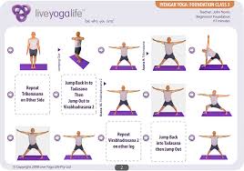 iyengar yoga foundation plete set