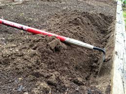 You take the plot of land you wish to purge, till it all up, remove any rocks or clumps of plant material, carefully level it out, soak it until the soil is saturated at least 70% two feet down, then stretch clear plastic tightly overtop, making sure the sides are well anchored. Solarizing Your Garden For The Summer Junior Master Gardener