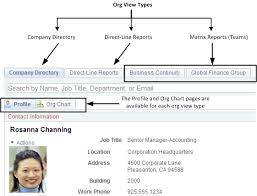 Setting Up The Org Chart Viewer