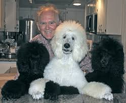 I don't build a parent standard poodle puppies for sale list until parents get closer to mating which i email / call down payment customers on the list below to know if they want to be. Standard Poodle Puppies For Sale