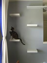 Cat Shelves Flickr Photo Sharing Katzenmobel Katzen Wand Katzen Treppe