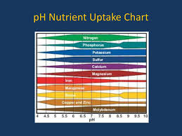 nutritional issues in caneberries ppt download