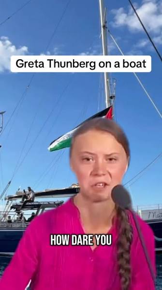 How Dare You Gretta Thungberg | TikTok