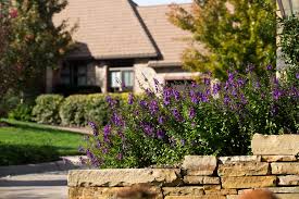 Order today and receive 40% off! Oak Creek Nies Home Builders