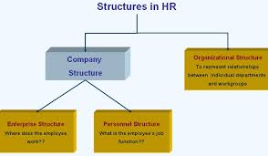 Organizational Enterprise Personnel Structure In Sap