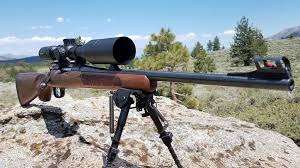 How much does the vortex diamondback tactical ffp weigh? Vortex Diamondback Tactical 6 24x50 Ffp Sportsman S Magazine
