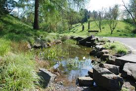 Von hier aus ist auch die botanischer garten osnabrück website aufrufbar. Naturpark Terra Vita Botanischer Garten Der Uni Osnabruck