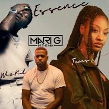 Formed in oakland, california, in 1989, en vogue reached no. Stream Essence Wizkid Dela Slowed Edit By De La Radio Listen Online For Free On Soundcloud