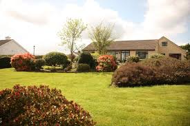 We did not find results for: Torine House B B Bed Breakfast Killorglin