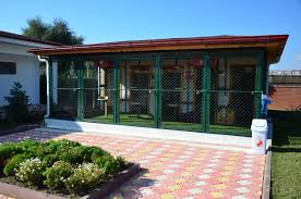 Kedi Evi