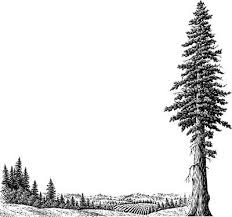 How big are the trees at humboldt redwoods? Giant Sequoias To The Horizon Suggestions Minecraft Discussion Minecraft Forum Tree Tattoo Color Tree Tattoo Tree Silhouette Tattoo