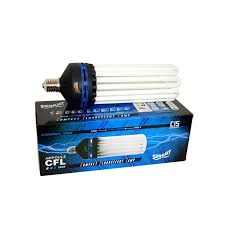 Check spelling or type a new query. Superplant Bulb Cfl 300w Growth 6400k V2 Lamp Economic Growth E40 Superplant 69 90 Culture Indoor