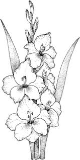 Gladiolus 1 Coloring Page Supercoloring Com Flower Drawing Flower Sketches Coloring Pages Download 1,440 gladiolus stock illustrations, vectors & clipart for free or amazingly low rates! flower drawing flower sketches