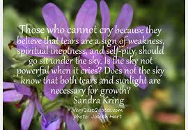 Those Who Cannot Cry Because They Believe That Tears Are A Sign Of Weakness Quotespictures Com