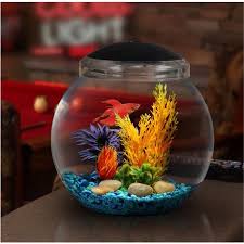 Aqua Culture 1 Gallon Globe Fish Bowl With Led Light Walmart Com In 2020 Fish Bowl Decorations Fish Bowl Betta Fish Bowl