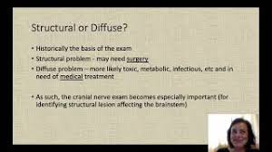 Image result for Coma Exam