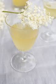 Holunderernte Holunderblutenlikor Fur Den Sommer Und Tee Aus Holunderbluten Fur Den Winter Leelah Loves Holunder Holunderbluten Rezepte Holunderblutenschnaps
