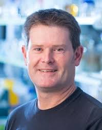 LIMS ANNUAL REPORT 2020