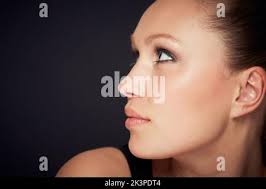 A closeup profile shot of a single isolated ruby Cavalier King Charles  Spaniel in a outdoor setting Stock Photo