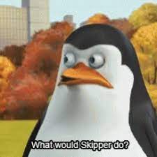 Explore and share the latest penguins of madagascar pictures, gifs, memes, images, and photos on imgur. Penguins Of Madagascar Private Gif Penguinsofmadagascar Private Whatwouldskipperdo Discover Share Gifs Penguins Of Madagascar Penguins Madagascar