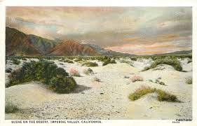 Imperial Valley Postcard 1920 S Imperial County Hometown Postcard