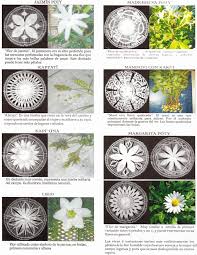 A Good Friend Of Mine Texted Me A Link To An Article From Paraguay Early This Morning The Article S Title Translates To Par Lacemaking Crafts Running Stitch