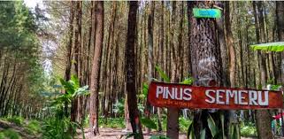 Pegunungan iyang dengan puncaknya gunung argopuro (3.088 meter), dan pegunungan ijen dengan puncaknya gunung raung (3.344 meter). Daftar Wisata Di Kecamatan Wajak Kabupaten Malang Ngalam Co