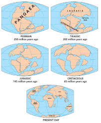 Earth & space science, ess1.c: Continental Drift And Plate Tectonics Let S Talk Science