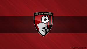 Afc bournemouth, bournemouth, united kingdom. Afc Bournemouth 2016 17 Afc Bournemouth Squad Genius