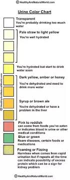 Is It Normal That My Urine Is Almost Clear After Drinking