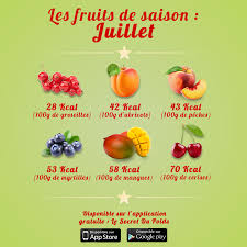 Diet Dinner Recipes 300 Calories Diet Dinner Recipes In 2020 Fruit Calories Diet Dinner Recipes Calorie