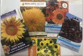 This is easy to grow the plant and its flowers look really wonderful in containers and on fences. Summer Flowers To Grow In India Heat Tolerant Gardening For Beginners