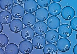 Microfluidic Jobs Elveflow