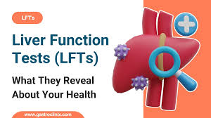 Image result for Liver Function Test