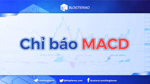 MACD là gì? Cách cài đặt và giao dịch chỉ báo MACD chi tiết nhất