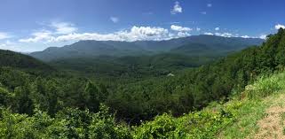 We did not find results for: Foothills Rv Park Cabins Pigeon Forge Tn Cabin