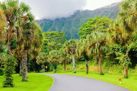 A big attraction here is the plumeria grove, which erupts in bloom in the summer. Hoomaluhia Botanical Garden Photos Free Royalty Free Stock Photos From Dreamstime
