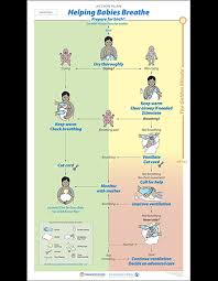 Helping Babies Breathe Hbb Facilitator Flip Chart 2nd