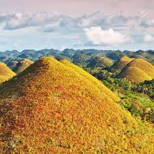 There are at least 1,260 hills but there may be as many as 1,776 hills spread over an area of more than 50 square kilometres. View Of The Chocolate Hills Bohol Philippines Stock Photo Picture And Royalty Free Image Image 11431106