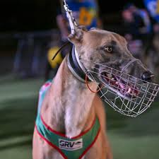 Plenty of winners at Benalla Auskick opener