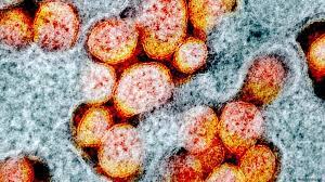 Because of the corona mutation from great britain, the virologist, christian drosten, expressed not so much in drosten's opinion, it can be assumed that the mutated pathogen has reached germany. Will Mutations Soon Make Covid 19 Less Harmful Science In Depth Reporting On Science And Technology Dw 17 06 2020