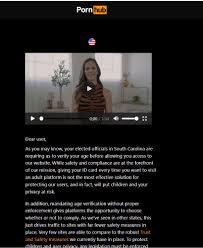 Pornhub is now blocking access in South Carolina. : rsouthcarolina