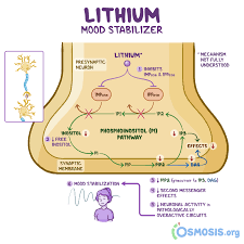 Also, older people tend to have other illnesses and are more likely to use. Osmosis On Twitter For This Week S Pharmacology Post We Re Talking Lithium What Other Medications Can Be Used To Treat Bipolar Disorder Check Out Our Psychiatry Playlist And Learn More About Bipolar Disorder