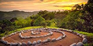 Fince Da Vida Into The Light Costa Rica Retreat Or Volunteer Medicinal Plants Plants Sacred Plant