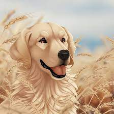 pin on drawing of dogs