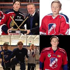 Apparently leksands if dam (leksand's woho team) cleans the arena/stands after the men's team again putting woho on the same level as men's junior hockey. Edgar Till Leksands If Viggbyholms Ik Hockey Svenskalag Se