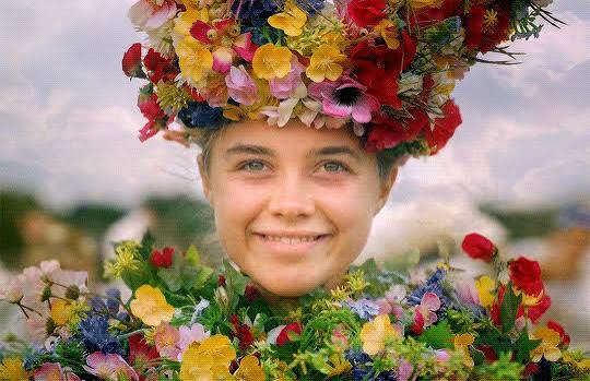 Midsommar (2019) A couple travel to Sweden to visit their friend's rural  hometown for its fabled midsummer festival, but what begins as an idyllic  retreat quickly devolves into an increasingly violent and